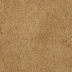 Sandy Beige