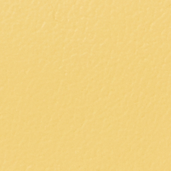 Zitronen-Baiser