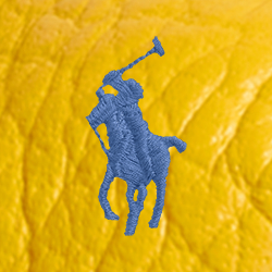 Canary Yellow