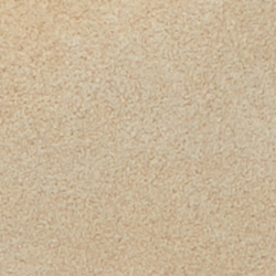 Cashew/Tan