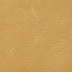 Cashmere