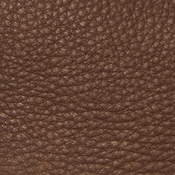 Luggage/Tobacco