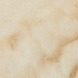 Luggage/Cream