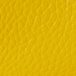 Canary Yellow