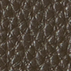 Vert botanique/Vert sauge