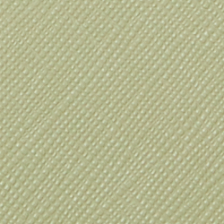 Light Olive