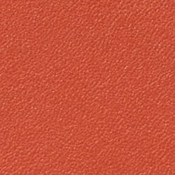 Rust Orange