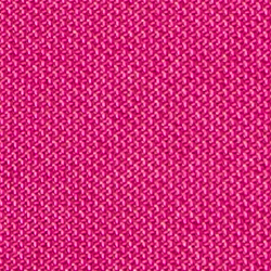 Bright Fuchsia Berry