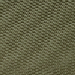 Sage Green/Lauren Tan