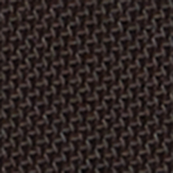 Chestnut Brown