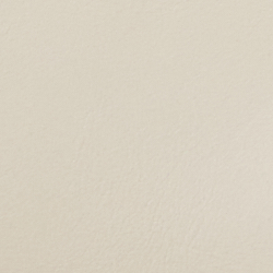 Explorer Sand