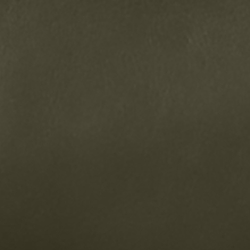 Dark Olive