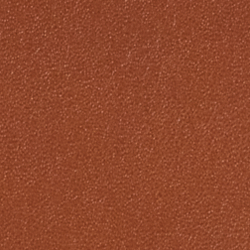 Walnut/Lauren Tan