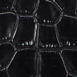 Black/Embossed Crocodile