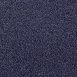 Refined Navy