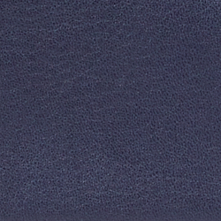 Blu raffinato/Oro moderno