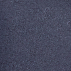 Refined Navy/Modern Gold