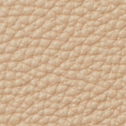 Sand Dune