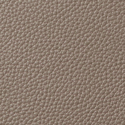 Taupe Brown