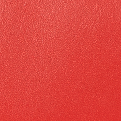 Bright Vermillion
