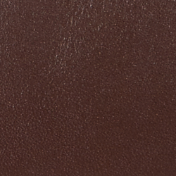 Dark Hickory