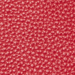 Festive Red