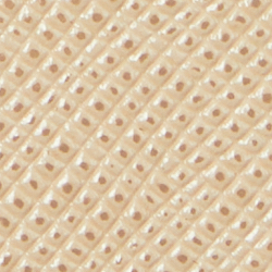Sand Dune