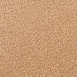 Chamois