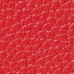 Festive Red