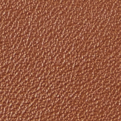 Lauren-Sandbraun