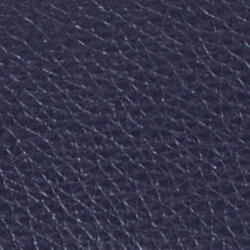 Refined Navy