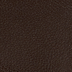 Chestnut Brown