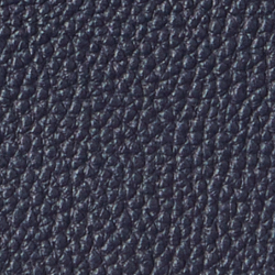 Refined Navy