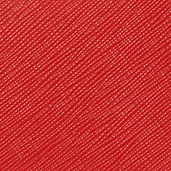 Bright Vermilion