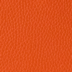 Giglio arancio
