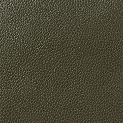 Dark Olive