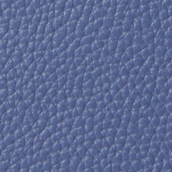 Carson Blue