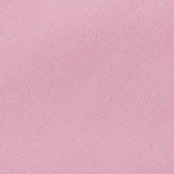 Malva rosa