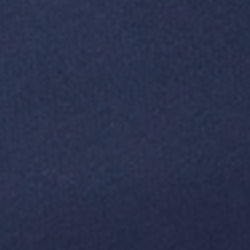 Refined Navy