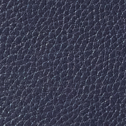 Refined Navy
