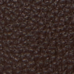 Chestnut Brown