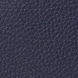 Refined Navy