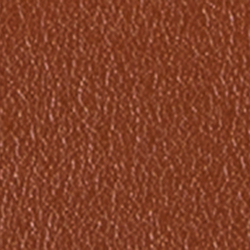 Nature/Buff/Sable Lauren