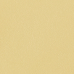 Naturel/Lemon sorbet