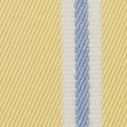 Ray auv srbt ctr/Sble Lrn