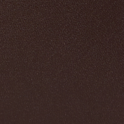 Chestnut Brown