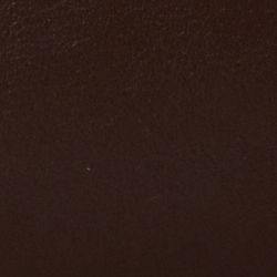 Chestnut Brown