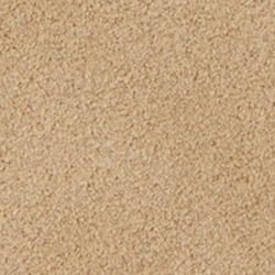 Sable