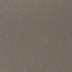 Warm Grey