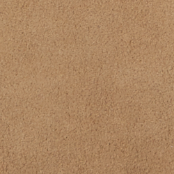 Camel/Natural